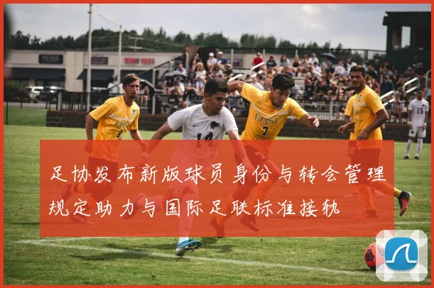 足协发布新版球员身份与转会管理规定助力与国际足联标准接轨