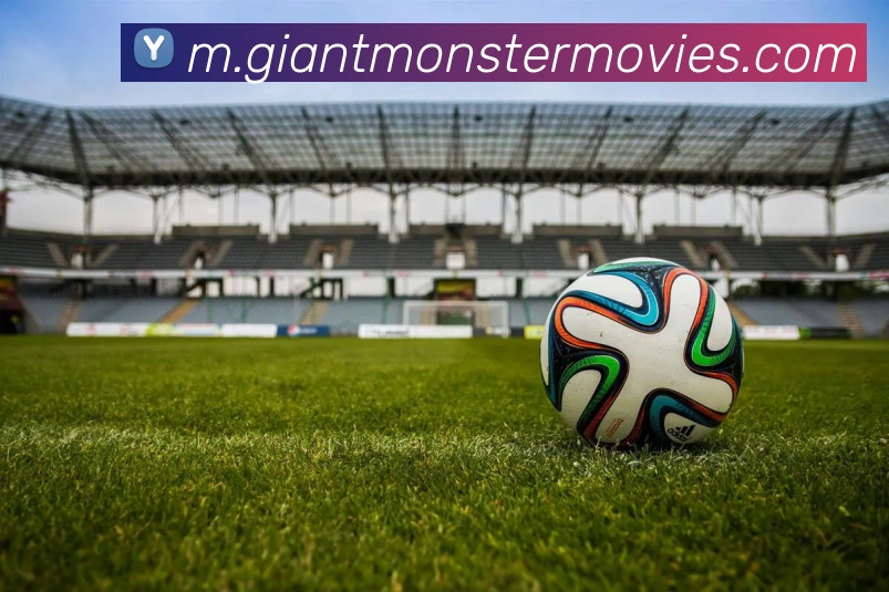 博亚体育平台生态图