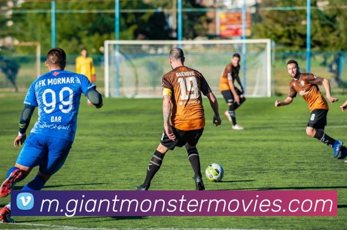 博亚体育全站App